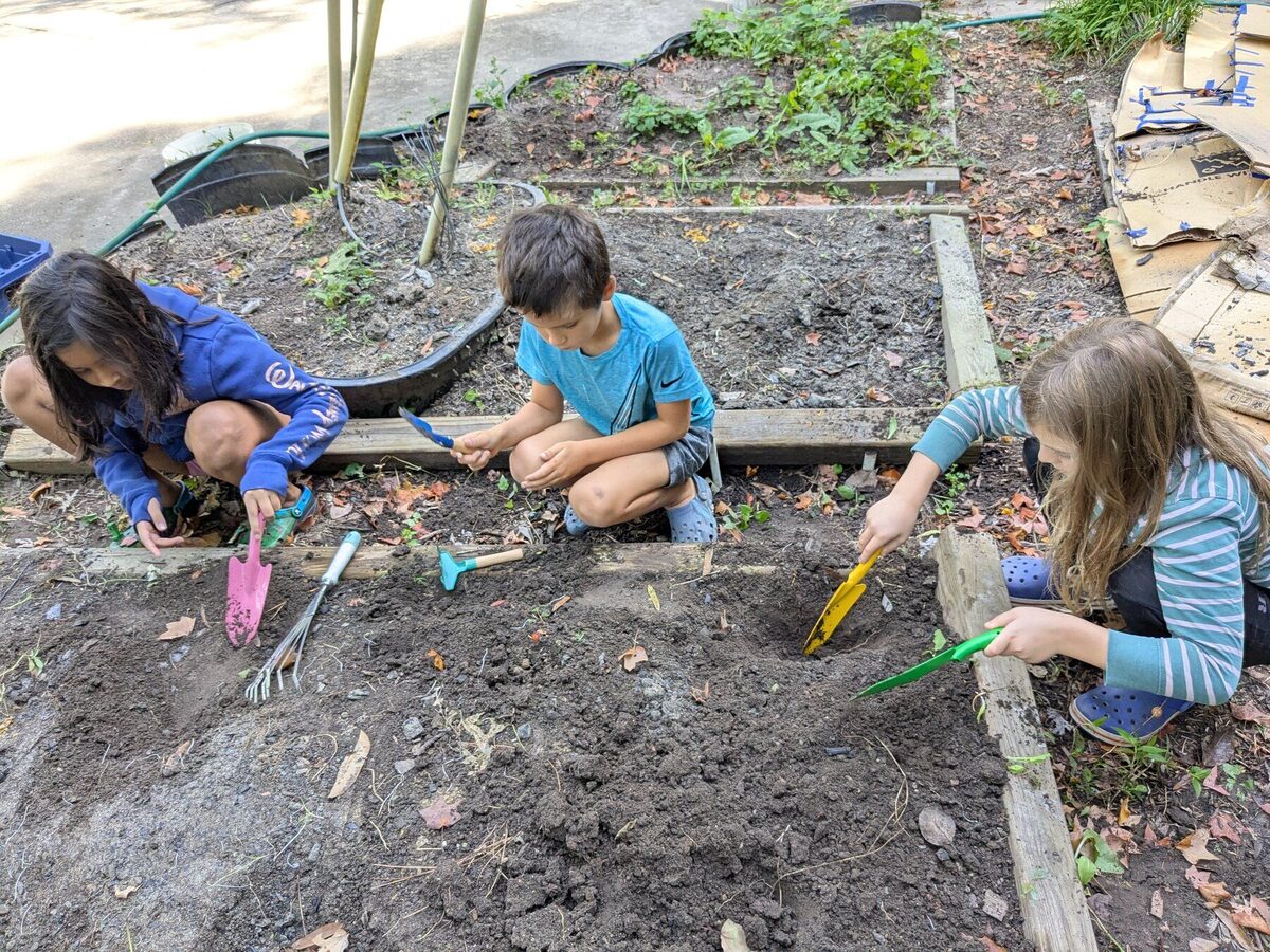 Kids digging with trowels in a garden bed