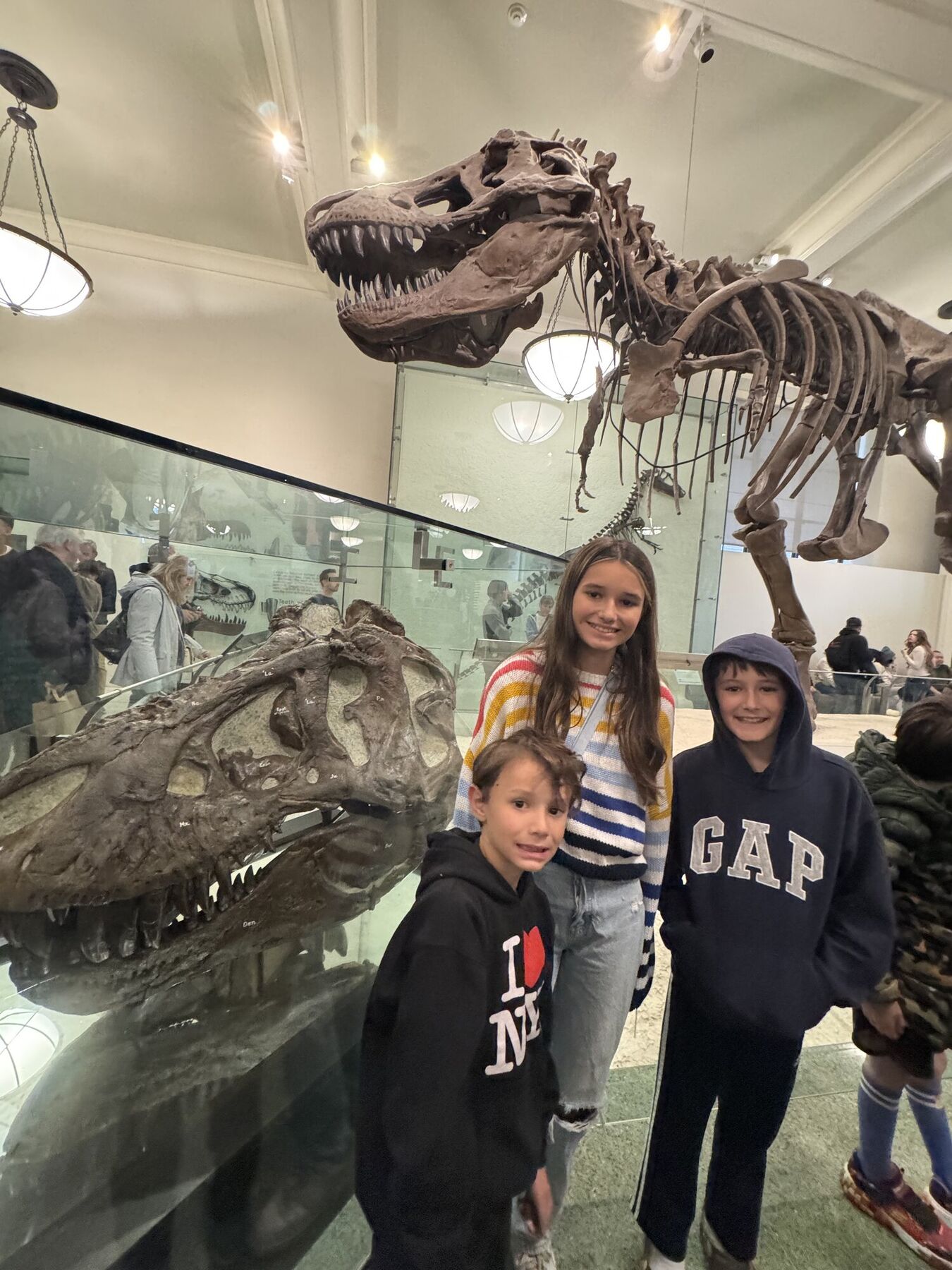 Kids standing under a T. rex skeleton at a museum