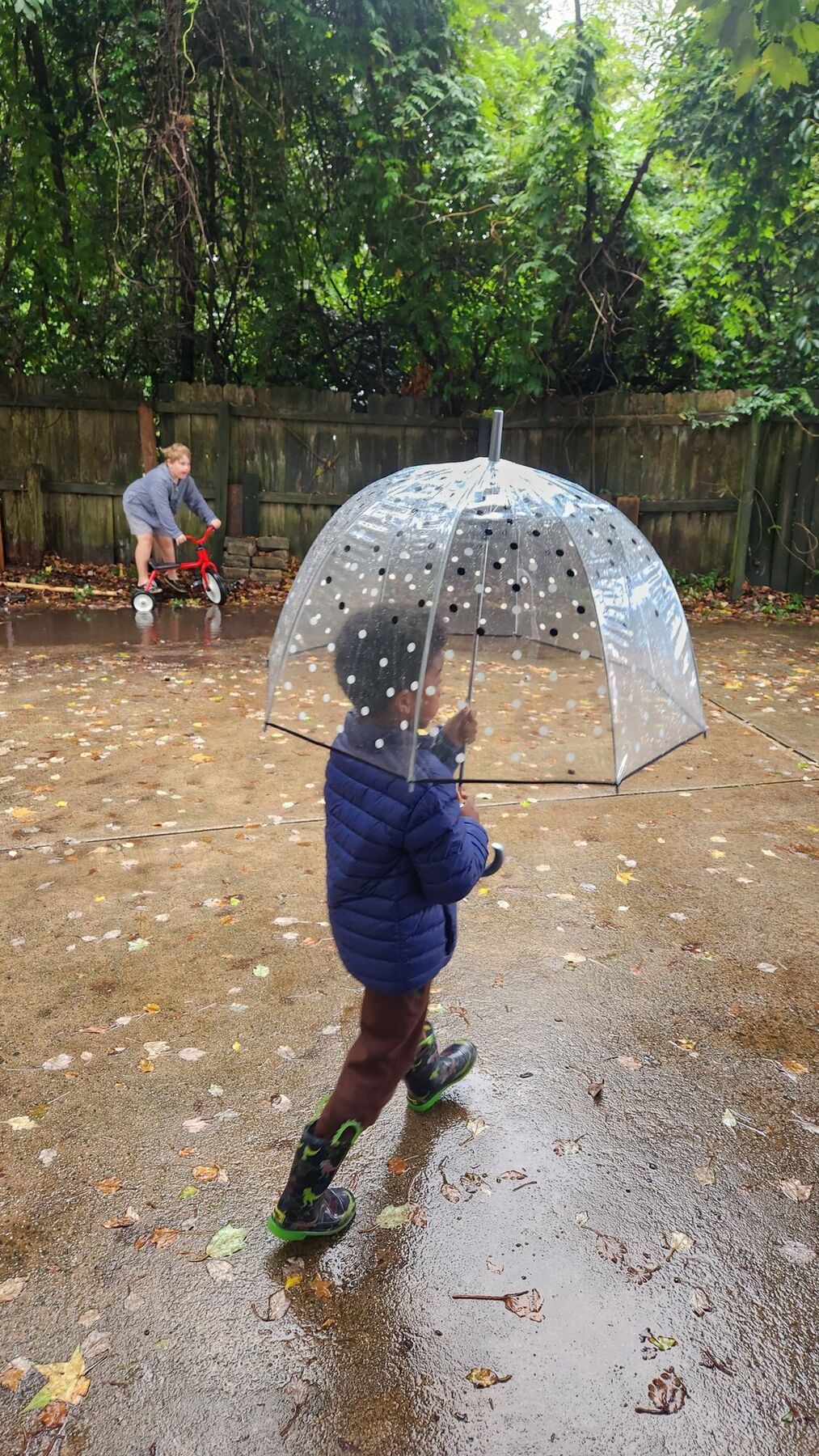 A kid under a clear umbrella in the rain